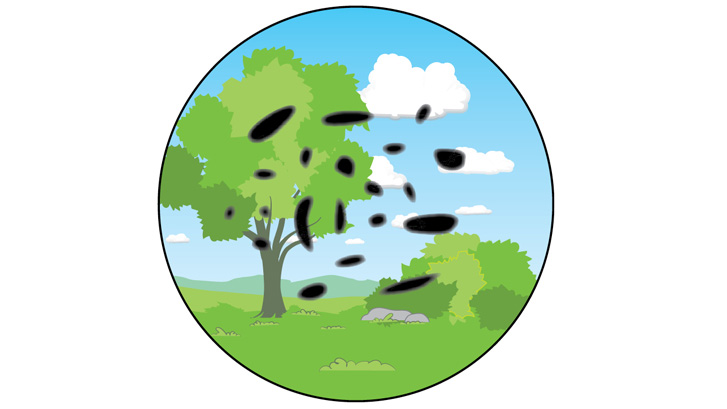 Ved diabetesretinopati kan der opstå prikker, flager eller streger i synsfeltet.