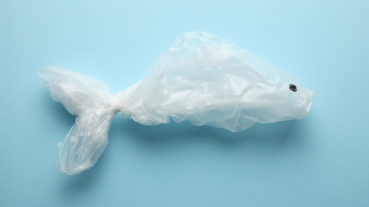 Vi skal alle bidrage til en bedre fremtid!